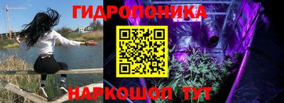 дмт Владивосток